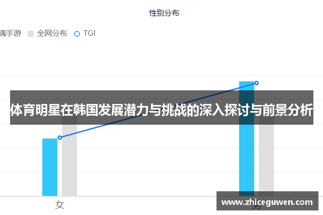 体育明星在韩国发展潜力与挑战的深入探讨与前景分析